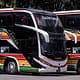 Plusmar bus: outside view