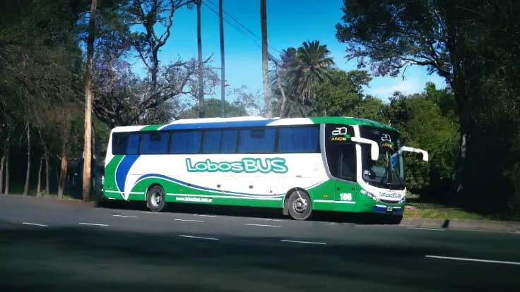bus de Lobos Bus