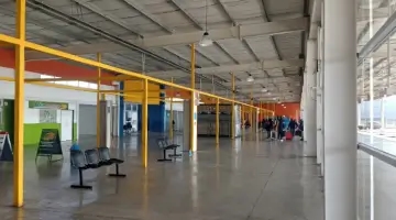 La Noria - Zacarias