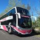 Rutatlantica bus: outside view