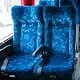 Nandu Del Sur bus: Semi-sleeper seats